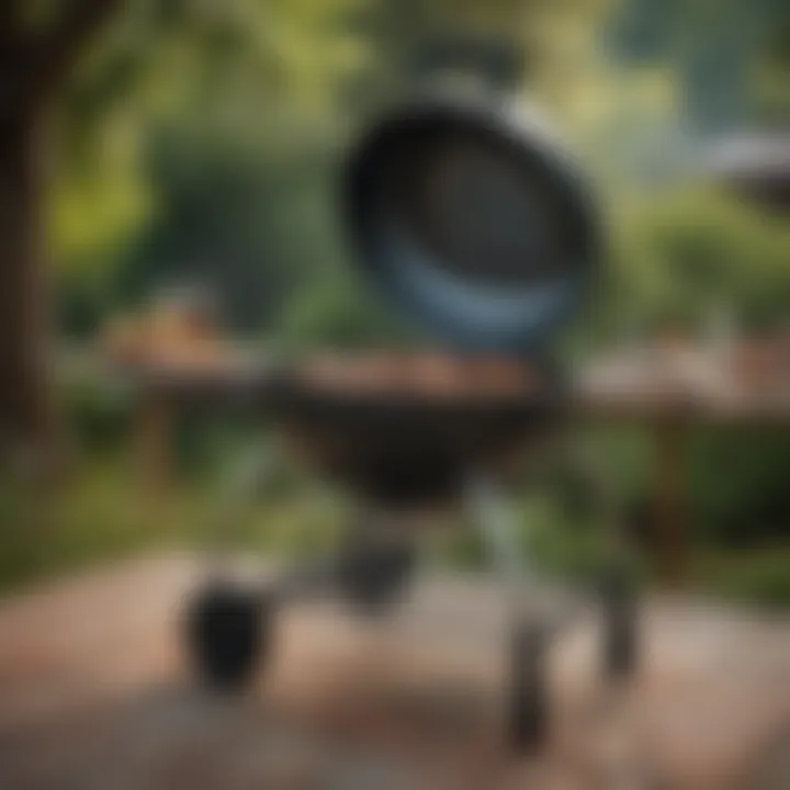 Magnificent Exploring the Weber Grill E335: A Culinary Companion