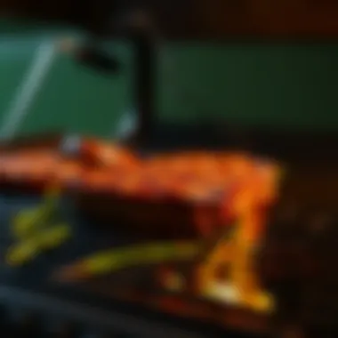 Magnificent Mastering the Art of Cooking Filet Mignon on the Grill Magnificent Mastering the Art of Cooking Filet Mignon on the Grill