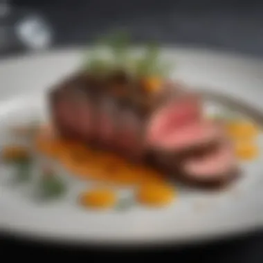 An elegant beef tenderloin plated with gourmet sauce and garnishes