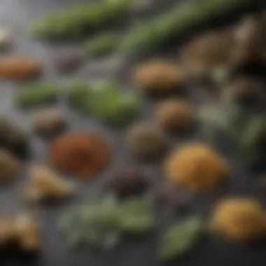 Close-up of various dried herbs ready for extraction