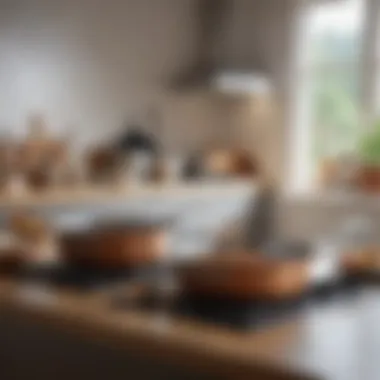 An elegant kitchen scene featuring Analon Nouvelle cookware in use