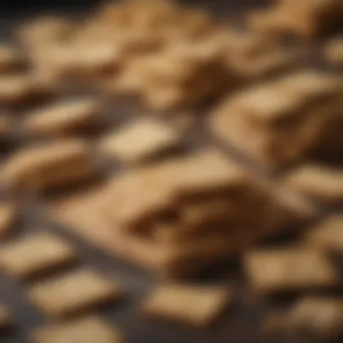 Artful Arrangement of Crackers An assortment of artisanal crackers elegantly arranged