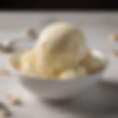 Artisanal vanilla ice cream production showcasing unique techniques