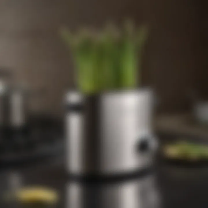 Elegant asparagus cooker showcasing its sleek design and functionality