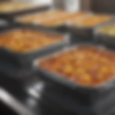 Pre-Warming Containers for Enhanced Heat Retention Food placed in a pre-warmed container to enhance heat retention