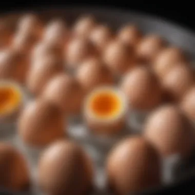 A dozen eggs in a pot ready for boiling