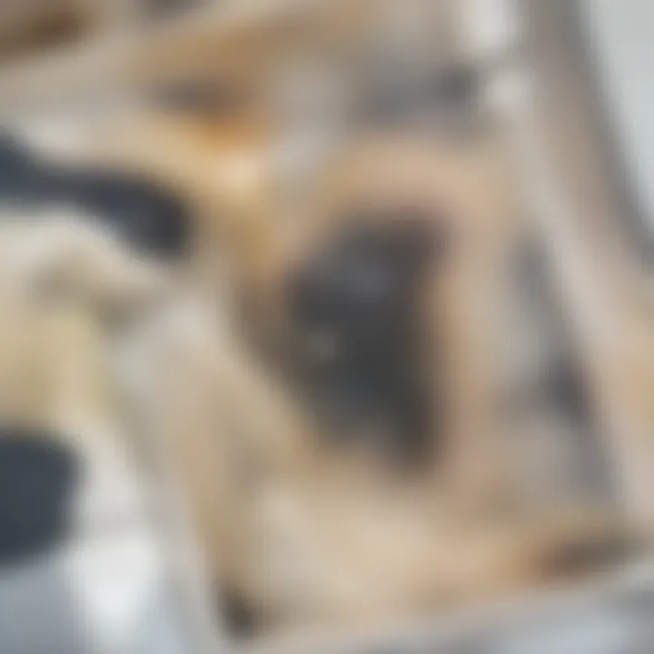 Close-up of a glass of Butter Chardonnay with swirling liquid