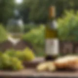 Butter Chardonnay bottle showcased in a serene vineyard setting