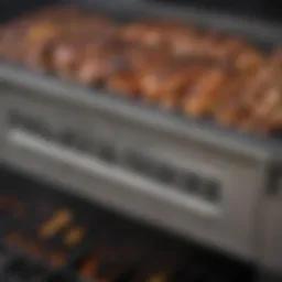 Detailed view of the char broil grill trough firebox showcasing its intricate design.