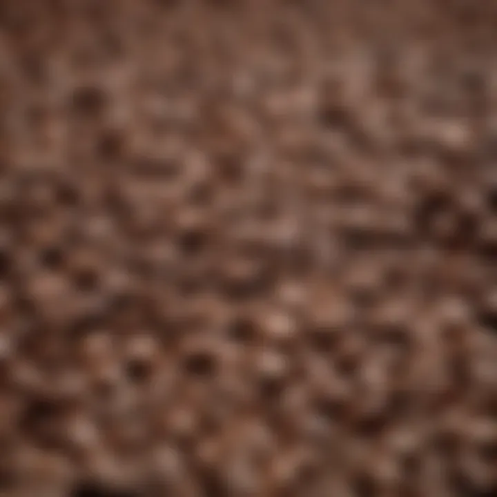 Close-up of coffee beans showcasing different roast levels