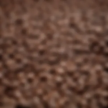 Exploring Coffee Roast Levels Close-up of coffee beans showcasing different roast levels