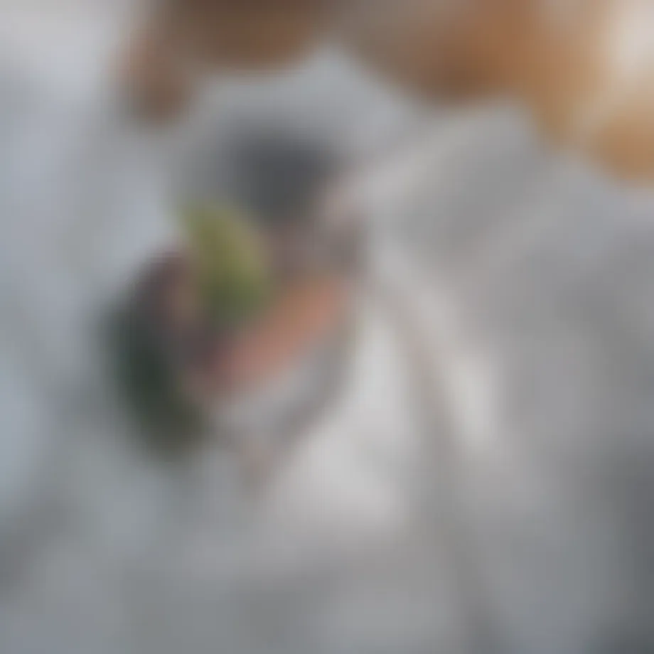 Close-up of a stink bug on a leaf