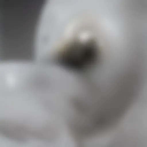 Close-up view of a toilet bowl with hard water stains