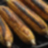 Golden corn on the grill showcasing char marks