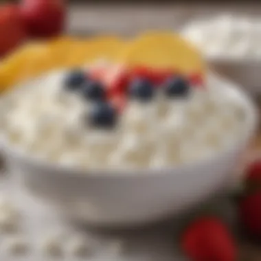 Cottage Cheese and Digestion Close-up of a bowl of cottage cheese with fresh fruits illustrating digestion health.