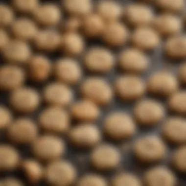 An array of fresh and organic ingredients laid out for cookie preparation.