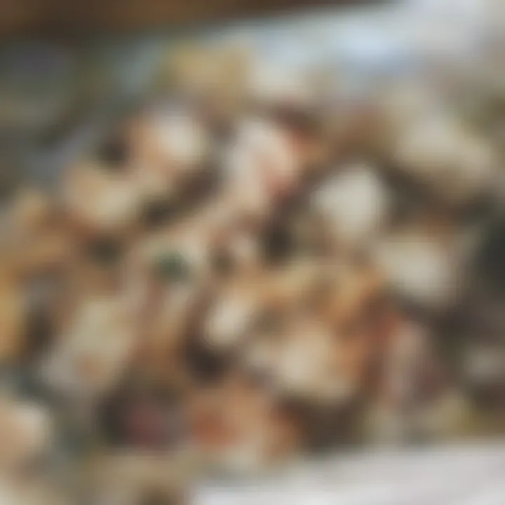Close-up of fresh ingredients for chicken pasta including chicken, cream cheese, and herbs