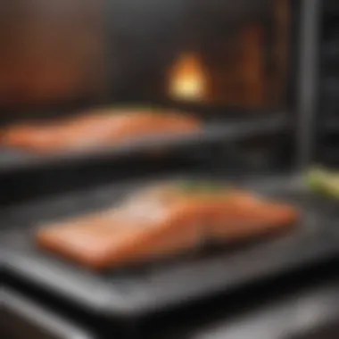 Oven Temperature for Salmon Oven set to the ideal temperature for salmon