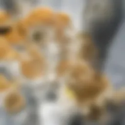 A refreshing glass of water with lemon slices