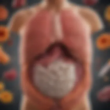 Illustration of the digestive system functioning optimally