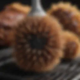 Close-up view of a high-quality BBQ brush showcasing its bristles