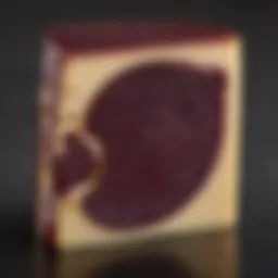 A close-up view of Costco's Merlot cheese showcasing its rich texture and color