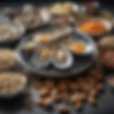 A vibrant display of zinc-rich foods including oysters, nuts, and legumes.