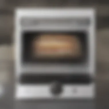 Gas Stove and Electric Oven Combo Overview Close-up view of a gas stove and electric oven combo