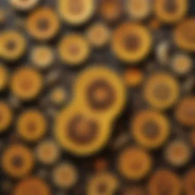 Artistic Presentation of Gem Squash Seed Dishes An artistic display of various dishes made with gem squash seeds