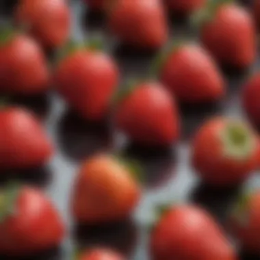 Vibrant gourmet strawberries displayed elegantly