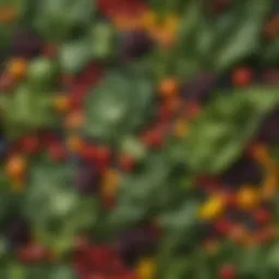 A vibrant mix of leafy greens and colorful vegetables
