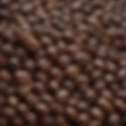 A close-up view of luxury coffee beans highlighting their unique characteristics and textures