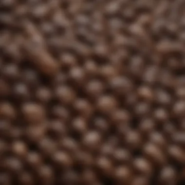 A close-up view of luxury coffee beans highlighting their unique characteristics and textures