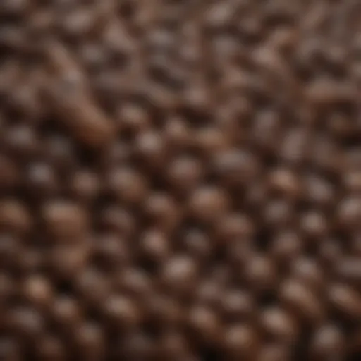 A close-up view of luxury coffee beans highlighting their unique characteristics and textures