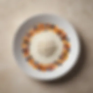 A beautifully arranged milk-free dish showcasing culinary potential