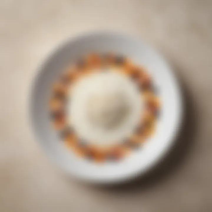 A beautifully arranged milk-free dish showcasing culinary potential