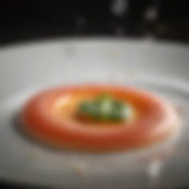 A chef's artistic presentation of a dish utilizing bubbles for visual appeal