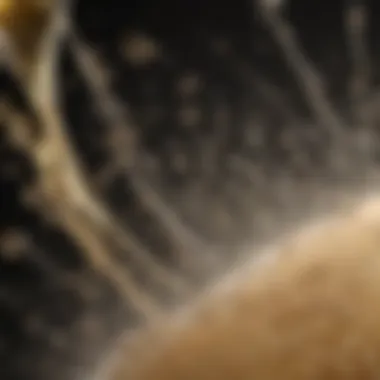 A close-up of sparkling bubbles in a glass of champagne