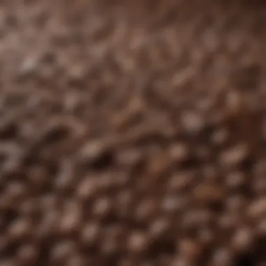 A selection of coffee beans showcasing various types suitable for espresso.