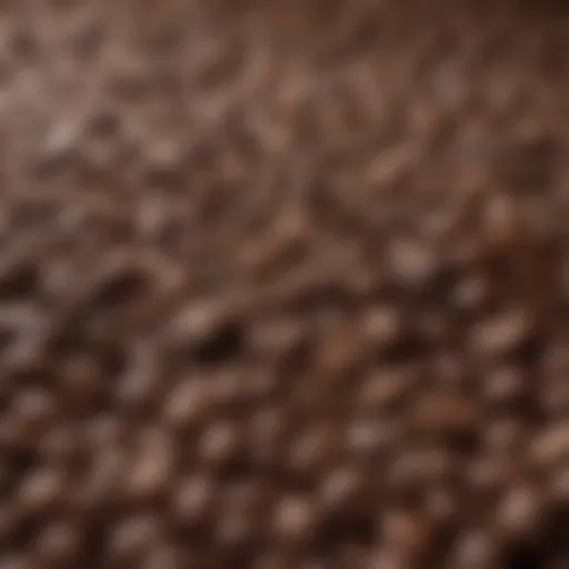 A selection of coffee beans showcasing various types suitable for espresso.