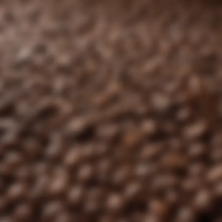 A selection of coffee beans showcasing various types suitable for espresso.