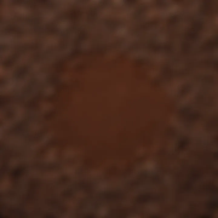 Close-up of coffee grounds highlighting different grind sizes.