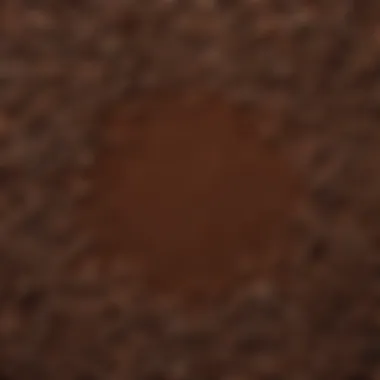 Variety of Coffee Grind Sizes Close-up of coffee grounds highlighting different grind sizes.