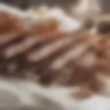 A close-up view of dry bacon showcasing its texture and color