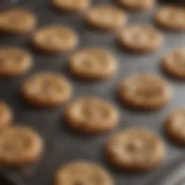 Different types of cookie sheets displayed for comparison