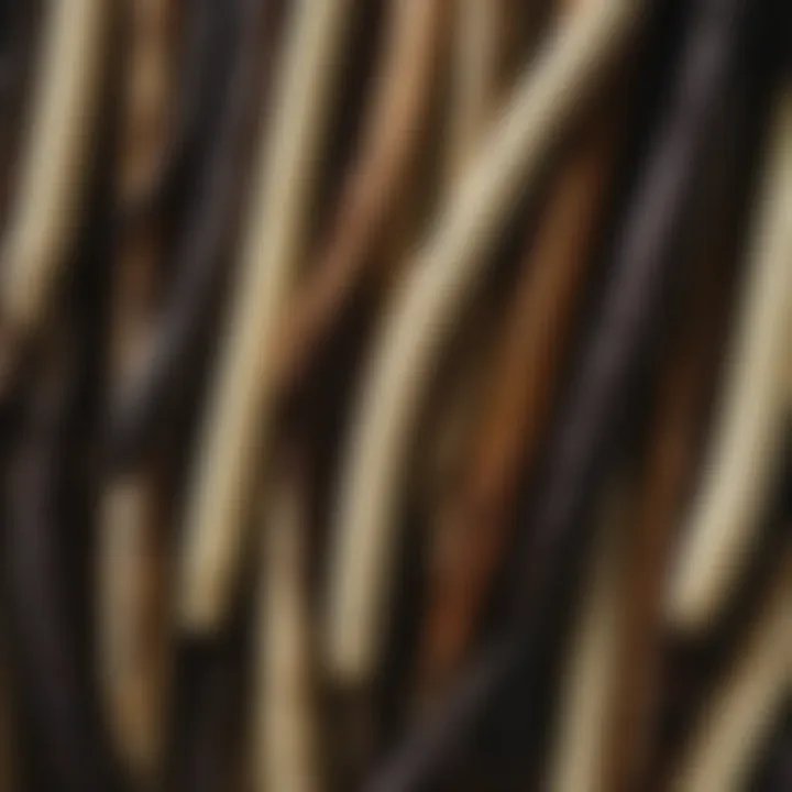 A close-up of vanilla beans showcasing their unique texture and color