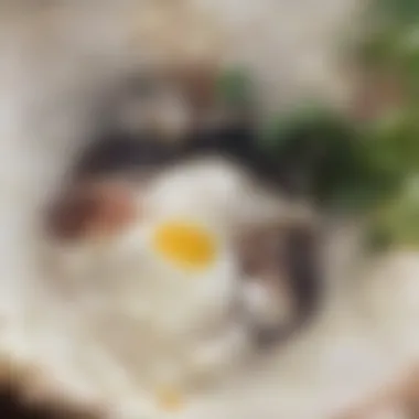 Bibimbap in a Dolsot Bowl Close-up of a dolsot bowl filled with bibimbap