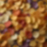 A vibrant array of potato chips showcasing various flavors and textures.