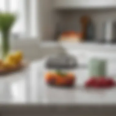 Elegance in Simplicity: The Handheld Vacuum Sealer Handheld mason jar vacuum sealer on a kitchen countertop