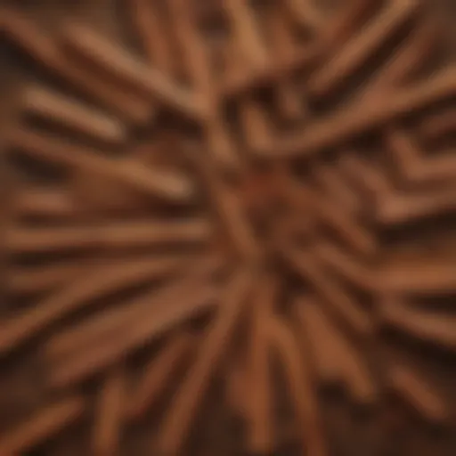 A close-up view of different cinnamon types arranged on a wooden surface
